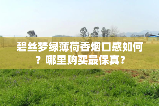 碧丝梦绿薄荷香烟口感如何？哪里购买最保真？